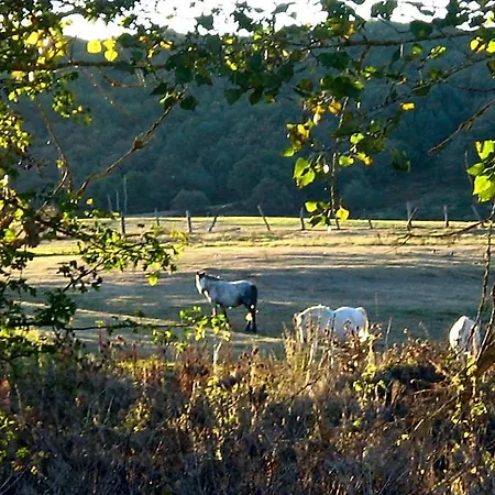 Hotel La Pradera De Marta 3*