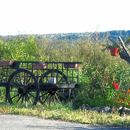Hotel La Pradera De Marta 3*